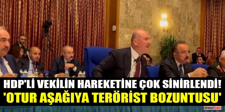 Bakan Soylu, HDP'li vekilin hareketine çok sinirlendi! 'Otur aşağıya terörist bozuntusu'