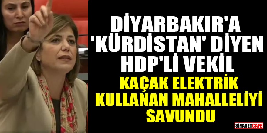 Diyarbakır'a 'Kürdistan' diyen HDP'li Meral Danış Beştaş, kaçak elektrik kullanan mahalleliyi savundu