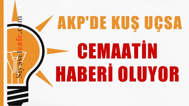 AKP'de kuş uçsa cemaatin haberi oluyor