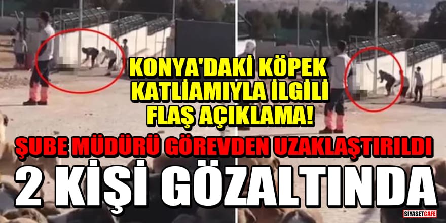 Konya'daki köpek katliamıyla ilgili flaş açıklama! Şube müdürü görevden uzaklaştırıldı: 2 kişi gözaltında