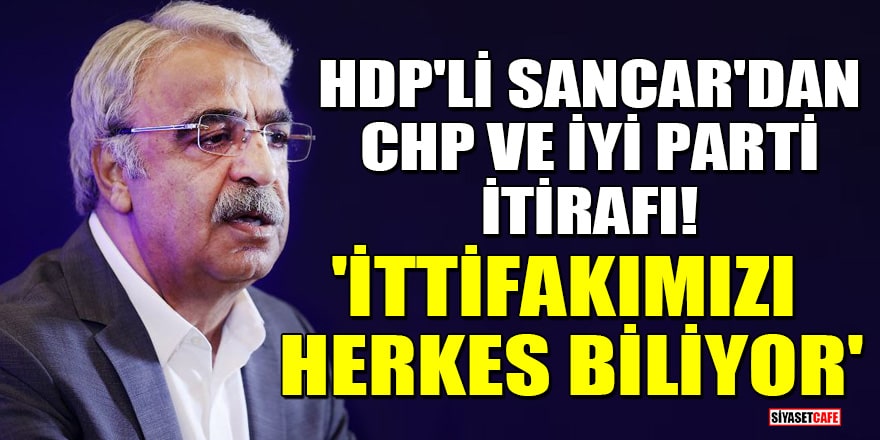 HDP'li Sancar'dan CHP ve İYİ Parti itirafı! 'İttifakımızı herkes biliyor'