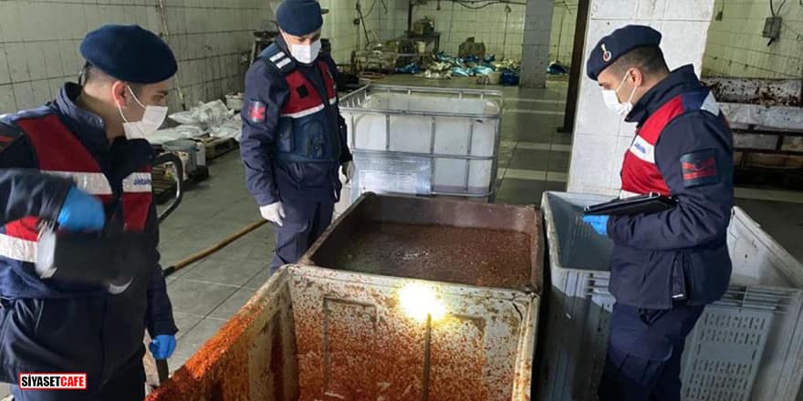 İzmir'de mide bulandıran görüntü! Ahırda salça üretimi yapan işletme mühürlendi