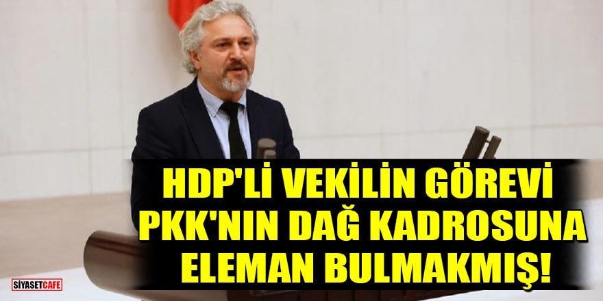 HDP'li Milletvekili Murat Çepni'nin görevi PKK'nın dağ kadrosuna eleman bulmakmış!