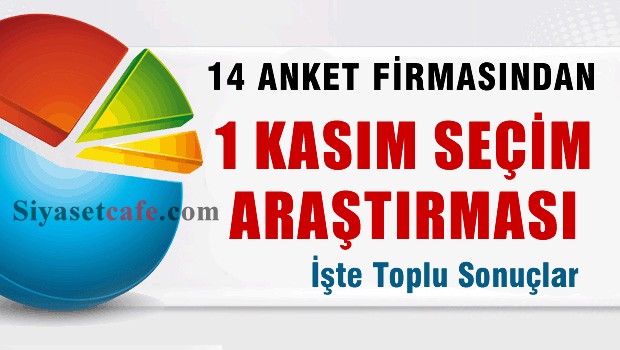 Son seçim anketleri 14 firmadan farklı sonuç