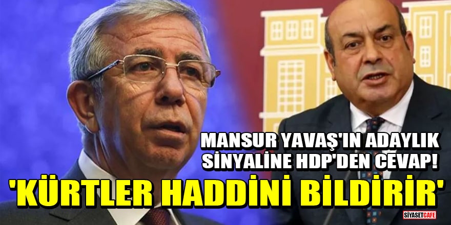 Mansur Yavaş'ın adaylık sinyaline HDP'den cevap! 'Kürtler haddini bildirir'