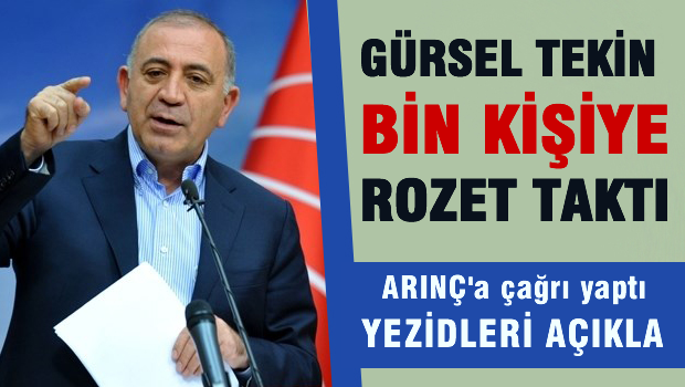 Tekin'den Arınç'a: Cesur ol Yezidleri açıkla