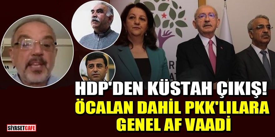 HDP'li Sırrı Sakık: Biz geldiğimiz de Abdullah Öcalan ve tutuklu PKK'lılar afla özgür kalacak
