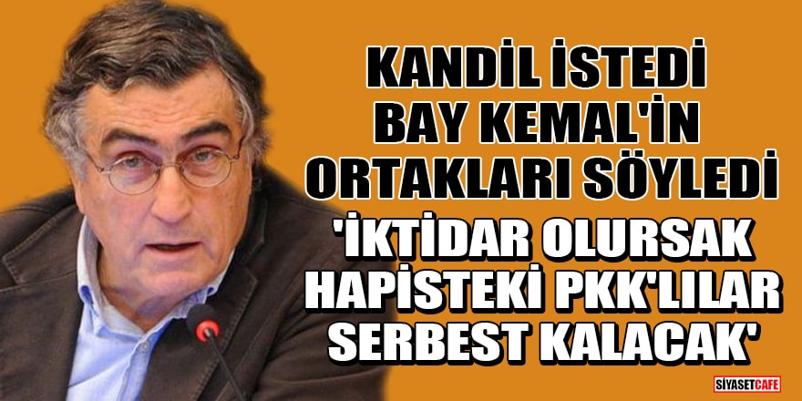 HDP'den milletvekili adayı olan Hasan Cemal: İktidar olursak hapisteki PKK'lılar serbest kalacak