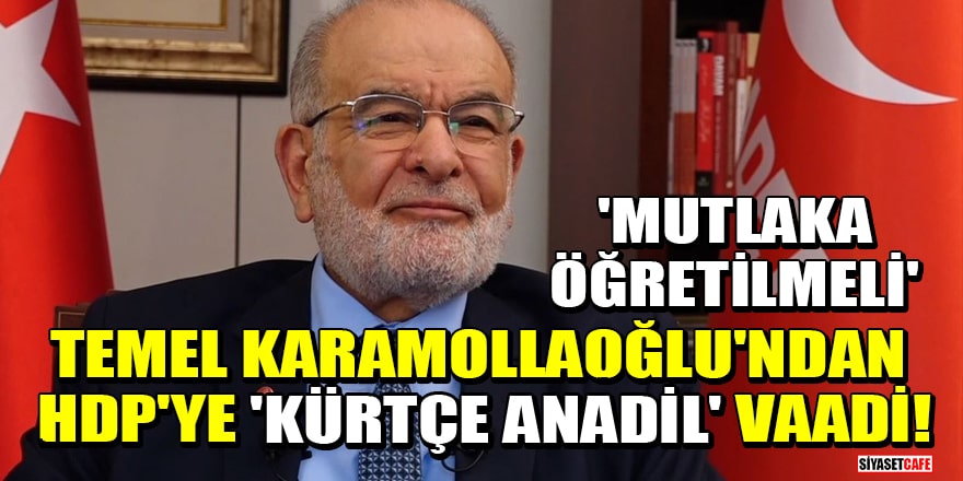 Temel Karamollaoğlu'ndan HDP'ye 'Kürtçe anadil' vaadi! 'Mutlaka öğretilmeli'