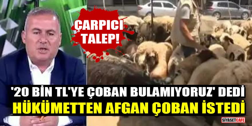 Çarpıcı talep! '20 bin TL'ye çoban bulamıyoruz' dedi, hükümetten Afgan çoban istedi