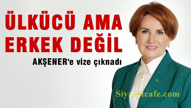 Akşener'e karşı propaganda: 'Ülkücü' ve 'erkek' değil!