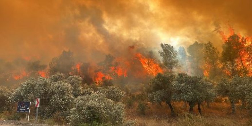 Antalya ve Muğla'da korkutan orman yangını