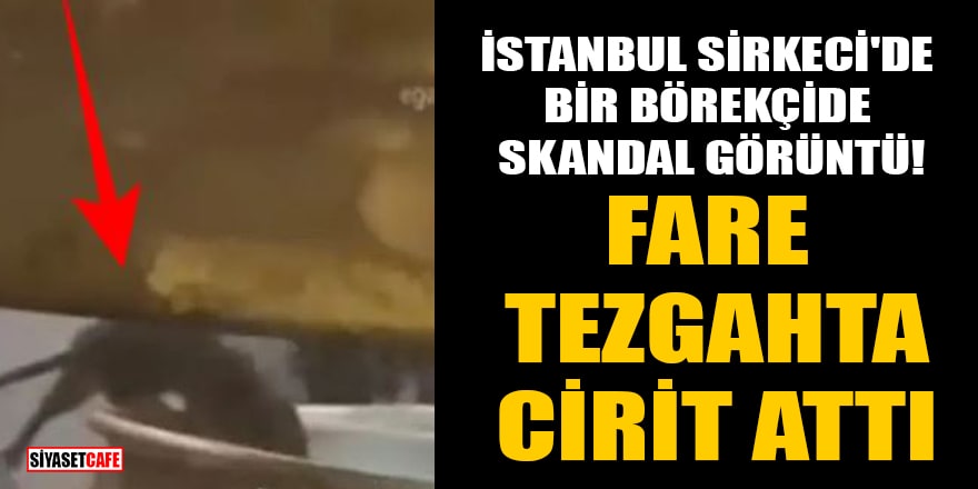 İstanbul Sirkeci'de bir börekçide skandal görüntü! Fare, tezgahta cirit attı