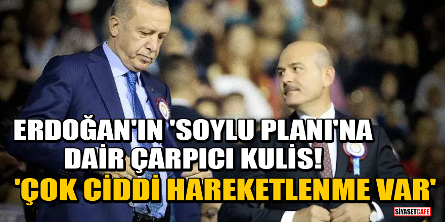 Erdoğan'ın 'Süleyman Soylu planı'na dair çarpıcı kulis! 'Çok ciddi hareketlenme var'