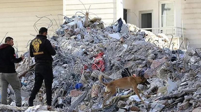 Diyarbakır'da 6 Şubat depreminde yıkılan Sözel Apartmanı'nın yarısı kaçak çıktı
