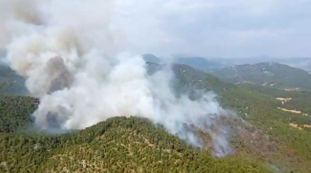 Bolu, Antalya, Denizli ve Eskişehir'de orman yangını