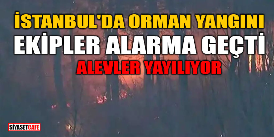 İstanbul Maltepe'de orman yangını! Ekipler alarma geçti: Alevler yayılıyor