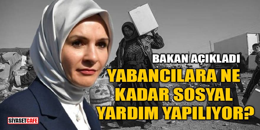 Bakan açıkladı: Yabancılara ne kadar sosyal yardım yapılıyor?