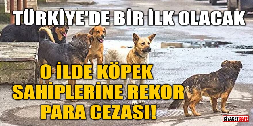 O ilde köpek sahiplerine rekor para cezası! Türkiye'de bir ilk olacak