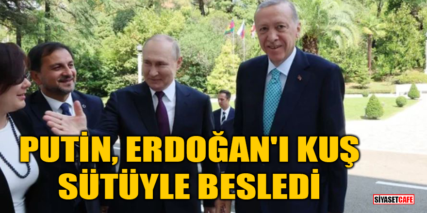 Putin, Erdoğan'ı kuş sütüyle besledi