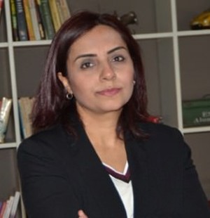 CHP'li vekil Doğan'dan Ermenilere 'diaspora' sözü