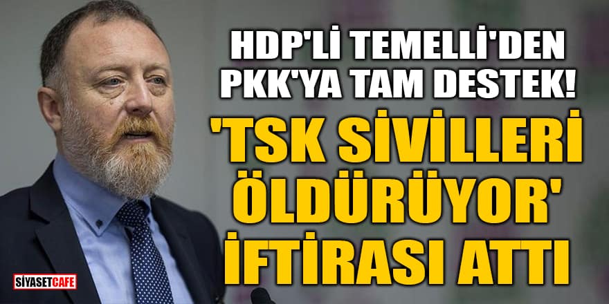 HDP'li Sezai Temelli'den PKK'ya tam destek! 'TSK sivilleri öldürüyor' iftirası attı