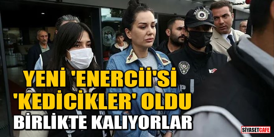 Dilan Polat'ın cezaevindeki yeni 'Enercii'si 'Kedicikler' oldu! Birlikte kalıyorlar