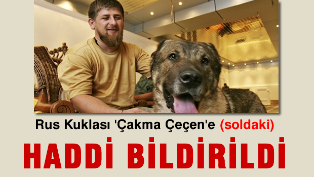 Rus kuklası 'Çakma Çeçen'e(soldaki) sert tepki