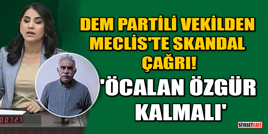 DEM Partili vekilden Meclis'te skandal çağrı! 'Öcalan özgür kalmalı'