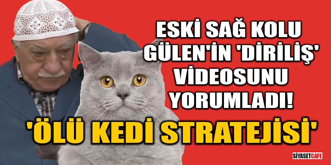 Eski sağ kolu Gülen'in 'Diriliş' videosunu yorumladı! 'Ölü kedi stratejisi kullanacak'