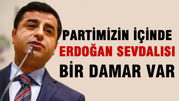 Demirtaş: Parti içinde Erdoğan sevdalısı bir damar her zaman vardı