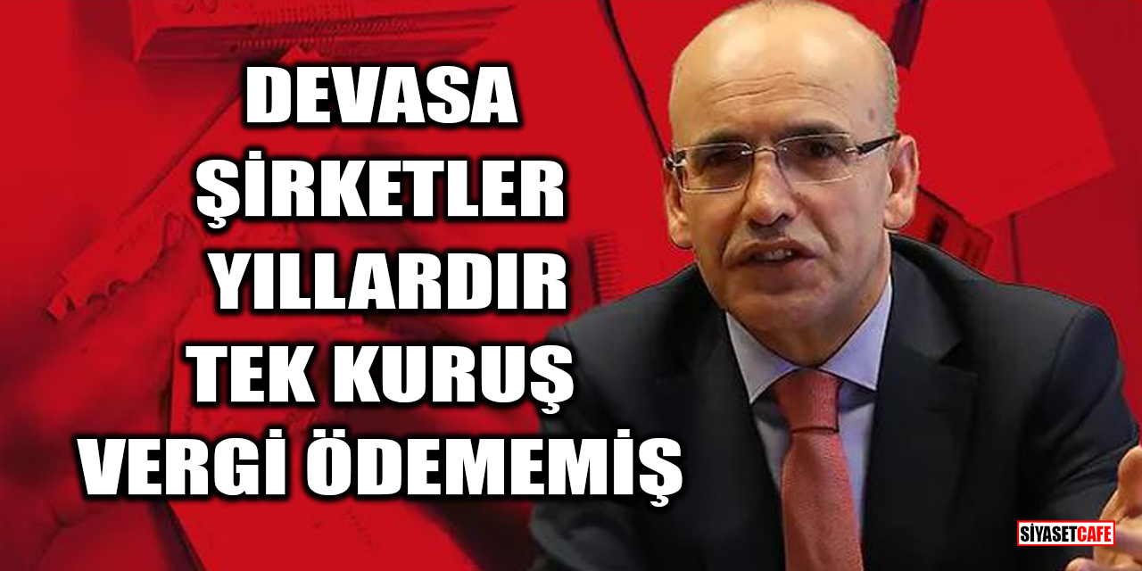 Devasa şirketler yıllardır tek kuruş vergi ödememiş