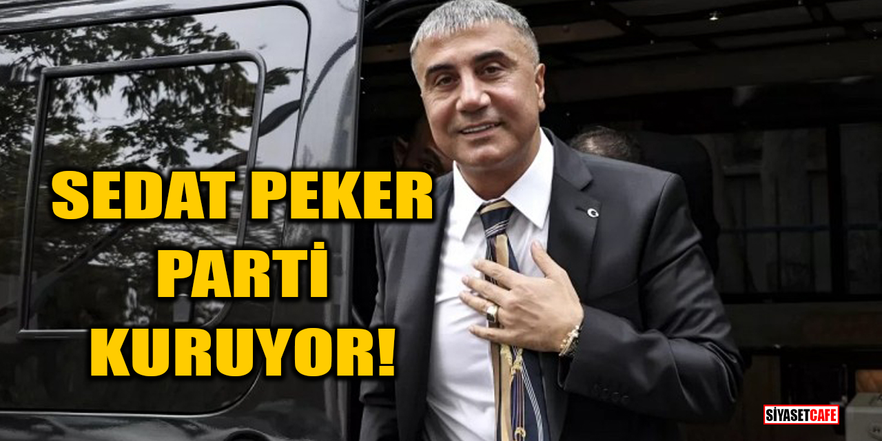 Sedat Peker parti kuruyor!