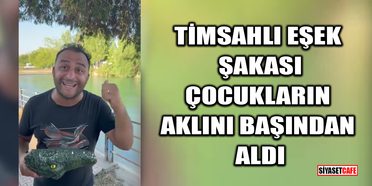 Timsahlı eşek şakası çocukların aklını başından aldı