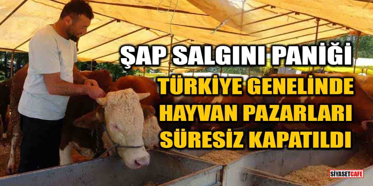 Şap Salgını Paniği: Türkiye Genelinde Hayvan Pazarları Süresiz Kapatıldı