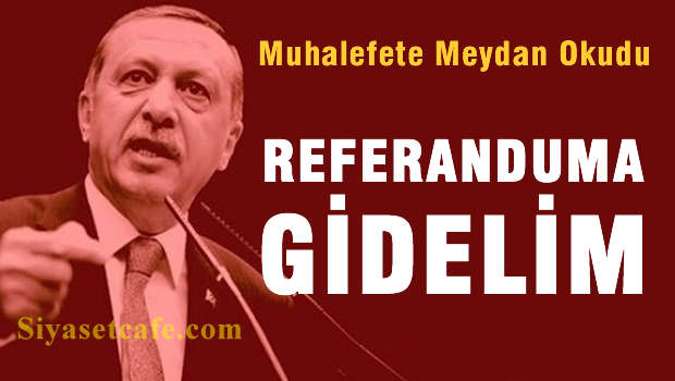 'Başkanlık için iki farklı referanduma gidilebilir'