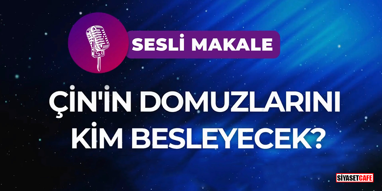 Çin'in Domuzlarını Kim Besleyecek?