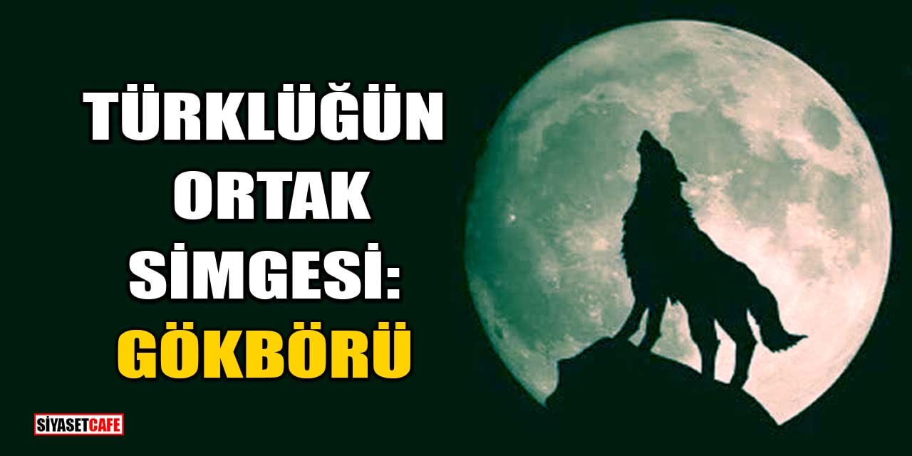 Türklüğün Ortak Simgesi: Gökbörü