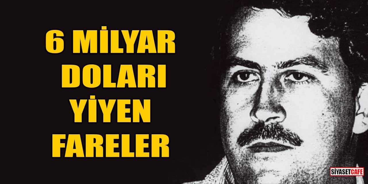 6 Milyar Doları Yiyen Fareler