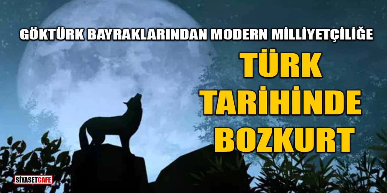 Türk Tarihinde Bozkurt: Göktürk Bayraklarından Modern Milliyetçiliğe