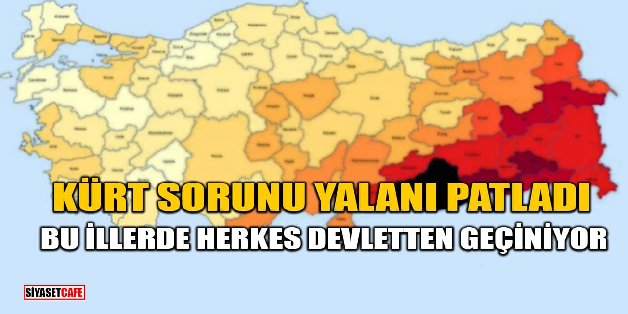 Kürt Sorunu Yalanı Patladı: Bu İllerde Herkes Devletten Geçiniyor