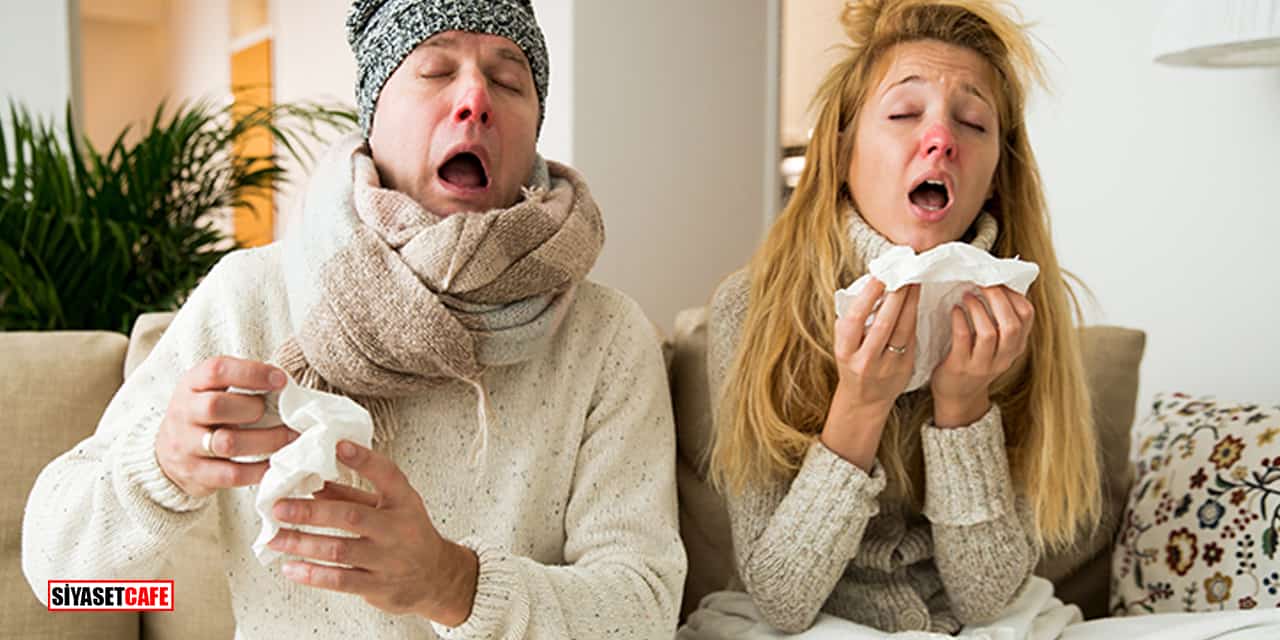 Mutfaktaki Bu Gizli Silah Gribi Saniyeler İçinde Kovuyor!