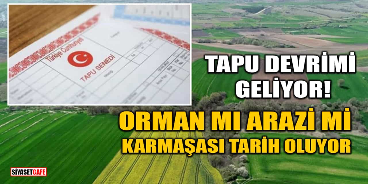 Tapu Devrimi Geliyor! Orman mı Arazi mi Karmaşası Tarih Oluyor