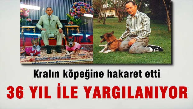 Kralın köpeğine hakaret etti diye 37 yıl hapsi isteniyor
