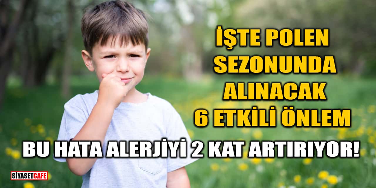 Polen Sezonunda Alınacak 6 Etkili Önlem