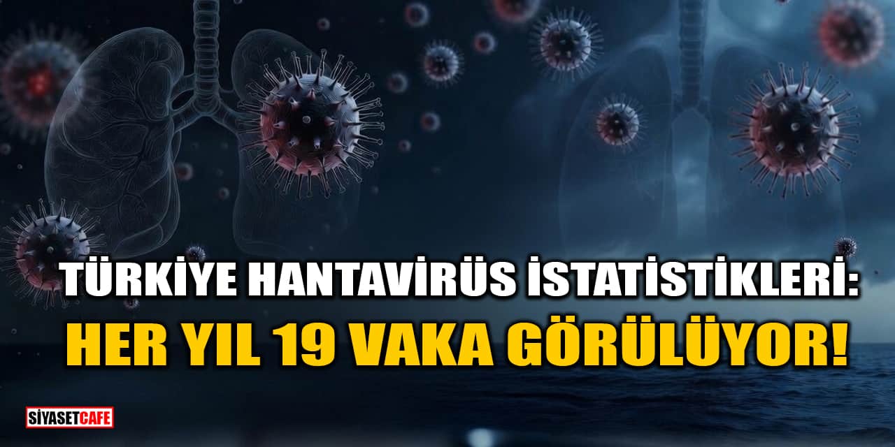 Türkiye Hantavirüs İstatistikleri: Her Yıl Ortalama 19 Vaka Görülüyor!