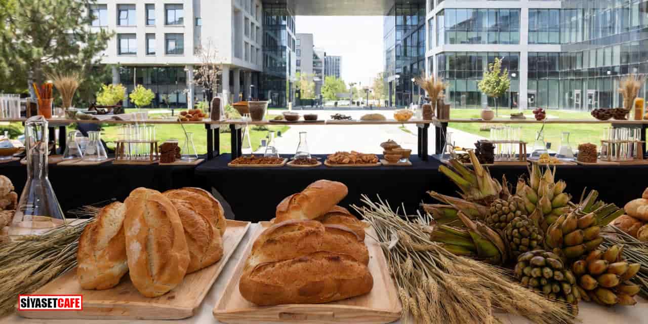 Palm Yağı Gerçekten Tehlikeli Mi? Gluten Herkes İçin Kötü Mü?