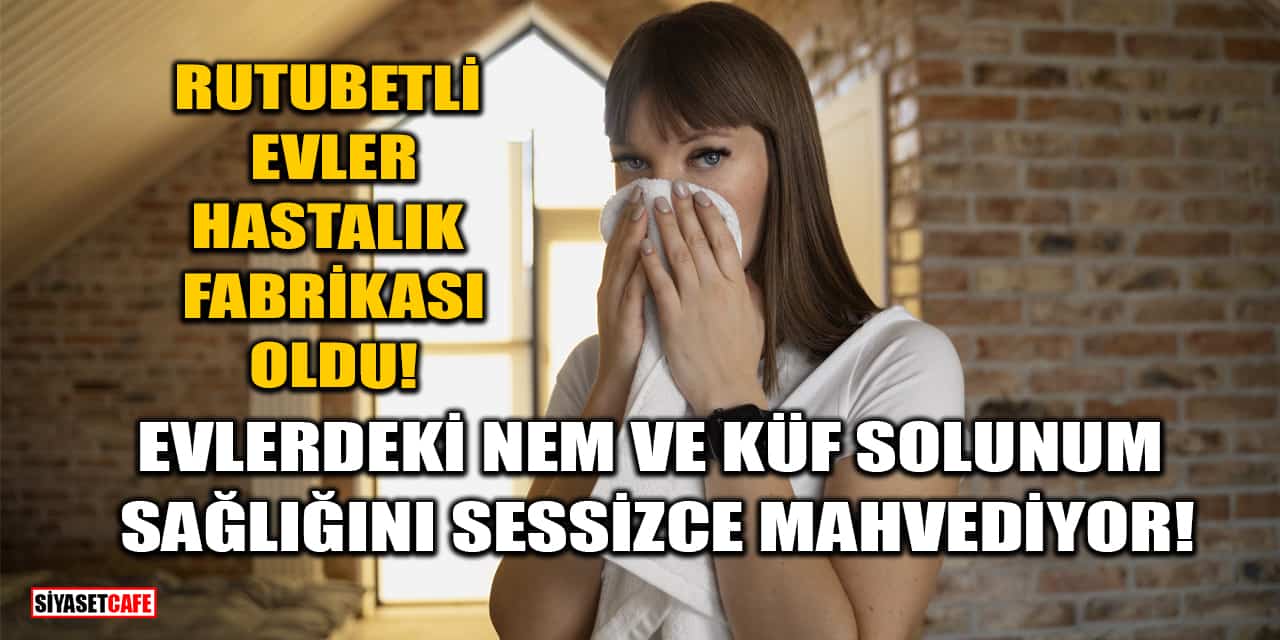 Evlerdeki Nem ve Küf Solunum Sağlığını Sessizce Mahvediyor!