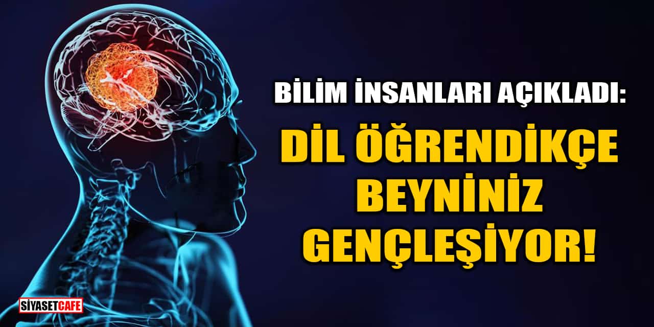 Bilim İnsanları Açıkladı: Dil Öğrendikçe Beyniniz Gençleşiyor!