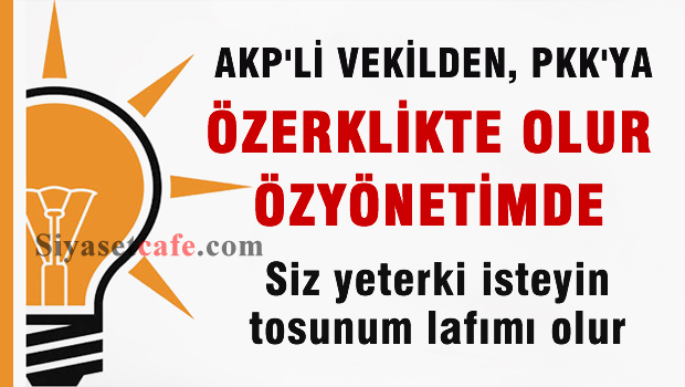 AKP'li vekilden şok sözler! 'Özerklik de Olur Özyönetim de'